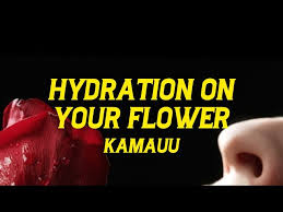 Kamauu - hydration on your flower (New Song)