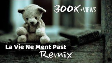 Dalel - La Vie Ne Ment Past [Remix]