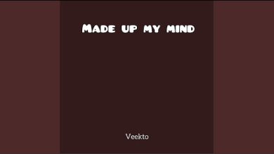 Veekto - made up my mind