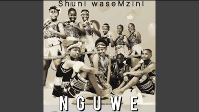 Shuni Wasemzini - Nguwe