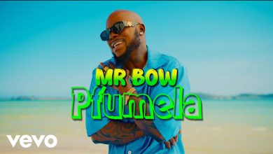 Mr. Bow - Pfumela