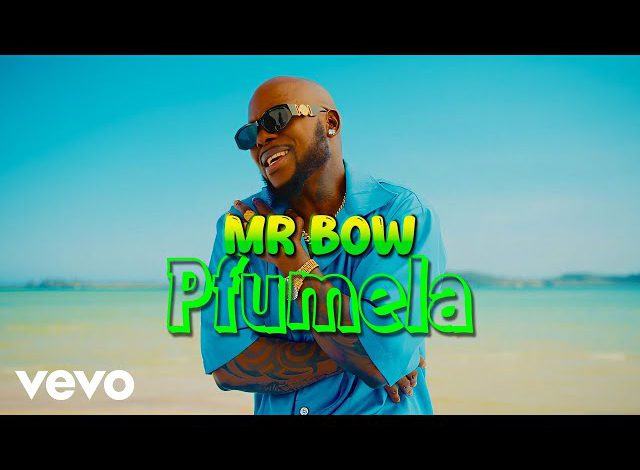 Mr. Bow - Pfumela